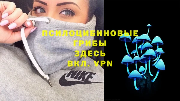ALPHA PVP Беломорск