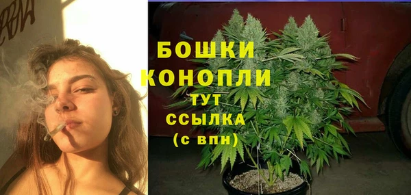 ALPHA PVP Беломорск