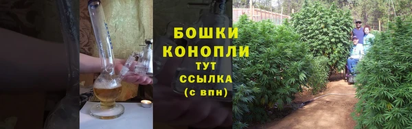 ALPHA PVP Беломорск